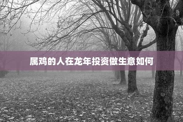 属鸡的人在龙年投资做生意如何
