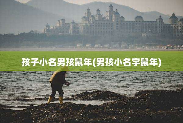 孩子小名男孩鼠年(男孩小名字鼠年)
