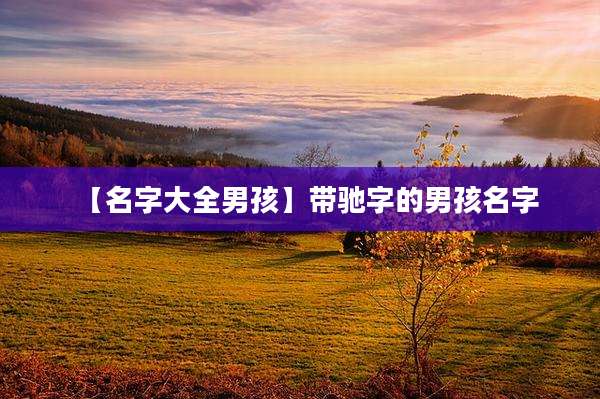 【名字大全男孩】带驰字的男孩名字
