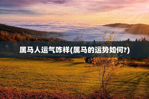 属马人运气咋样(属马的运势如何?)