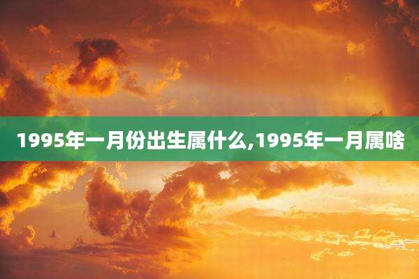 1995年一月份出生属什么,1995年一月属啥