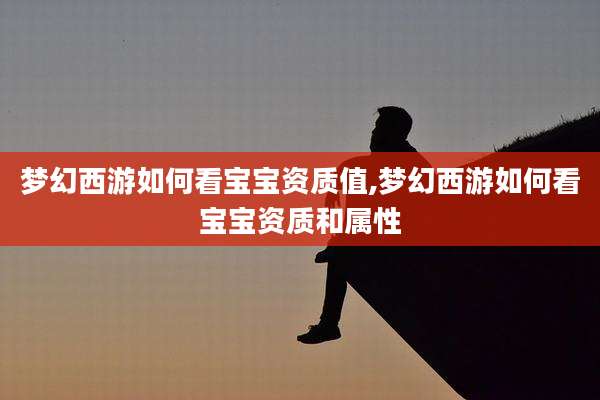 梦幻西游如何看宝宝资质值,梦幻西游如何看宝宝资质和属性