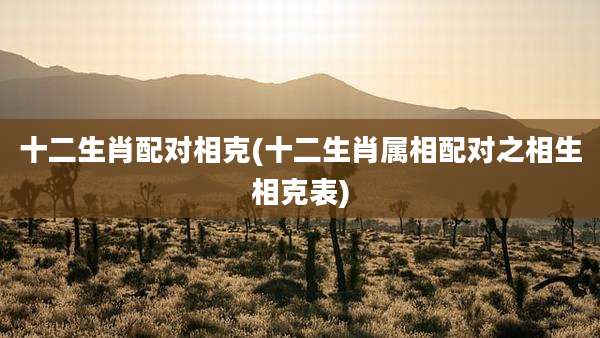 十二生肖配对相克(十二生肖属相配对之相生相克表)