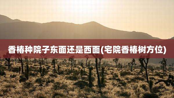 香椿种院子东面还是西面(宅院香椿树方位)