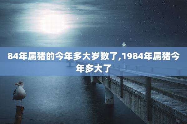 84年属猪的今年多大岁数了,1984年属猪今年多大了