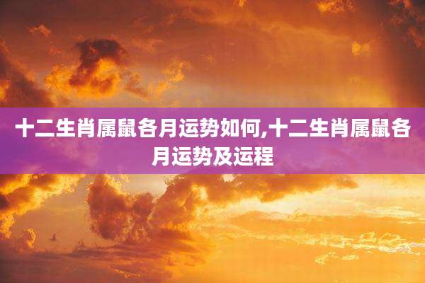 十二生肖属鼠各月运势如何,十二生肖属鼠各月运势及运程