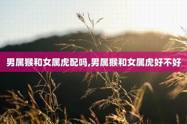 男属猴和女属虎配吗,男属猴和女属虎好不好