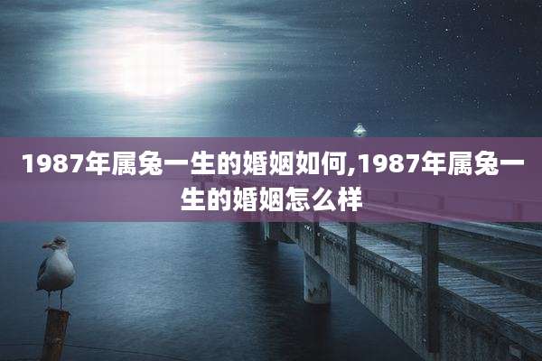 1987年属兔一生的婚姻如何,1987年属兔一生的婚姻怎么样