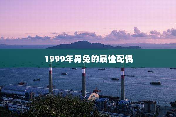 1999年男兔的最佳配偶