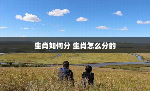 生肖如何分 生肖怎么分的