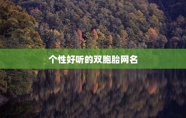 个性好听的双胞胎网名
