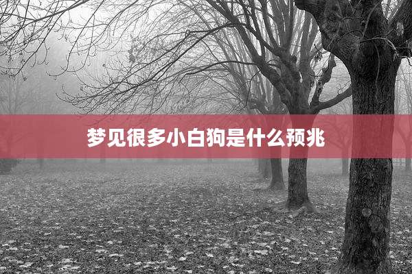 梦见很多小白狗是什么预兆