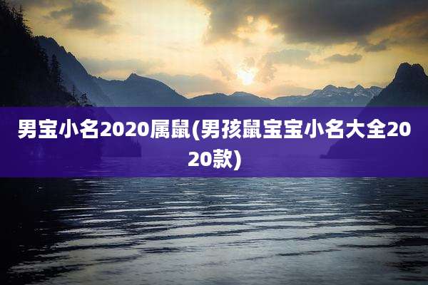男宝小名2020属鼠(男孩鼠宝宝小名大全2020款)