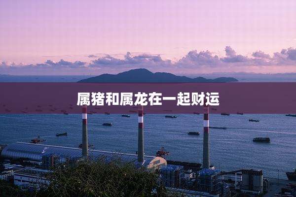 属猪和属龙在一起财运