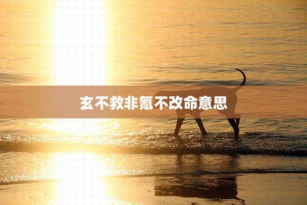 玄不救非氪不改命意思
