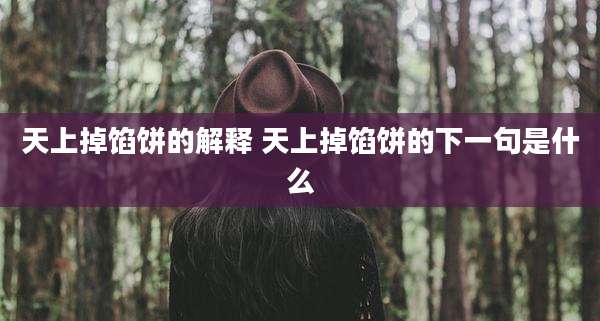天上掉馅饼的解释 天上掉馅饼的下一句是什么