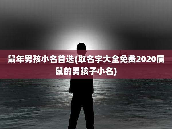 鼠年男孩小名首选(取名字大全免费2020属鼠的男孩子小名)