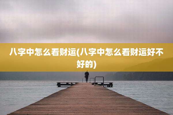 八字中怎么看财运(八字中怎么看财运好不好的)
