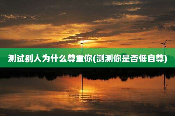 测试别人为什么尊重你(测测你是否低自尊)