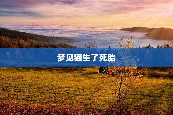 梦见猫生了死胎