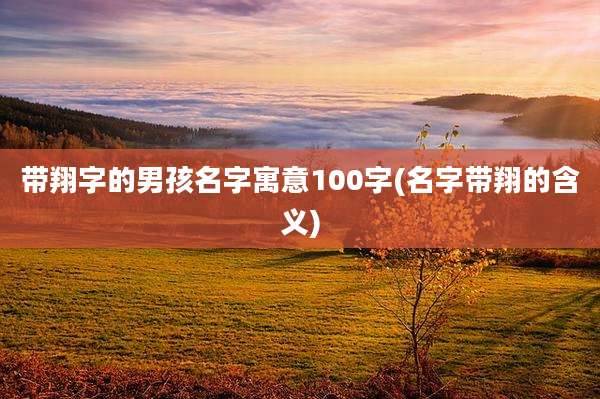 带翔字的男孩名字寓意100字(名字带翔的含义)