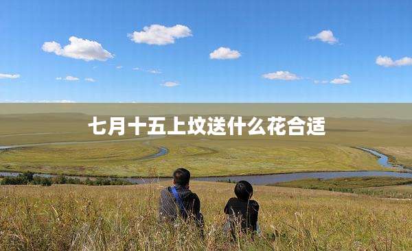 七月十五上坟送什么花合适