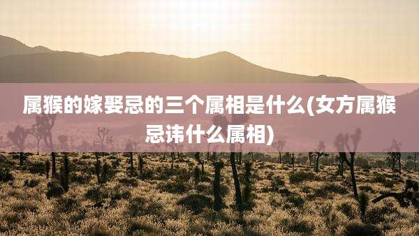 属猴的嫁娶忌的三个属相是什么(女方属猴忌讳什么属相)