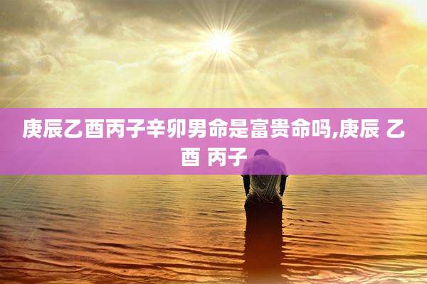 庚辰乙酉丙子辛卯男命是富贵命吗,庚辰 乙酉 丙子