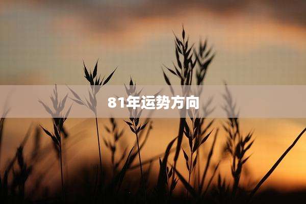 81年运势方向