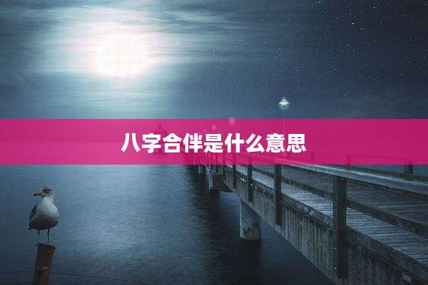 八字合伴是什么意思