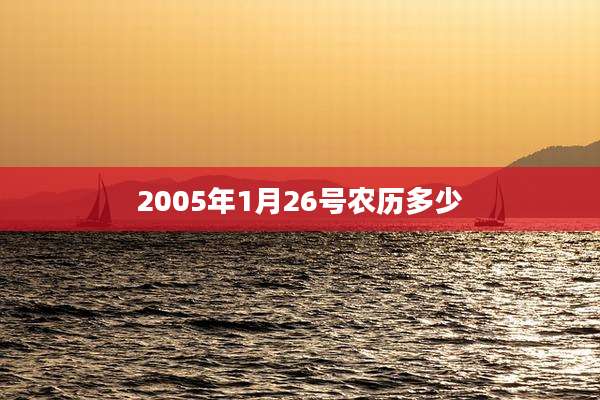 2005年1月26号农历多少