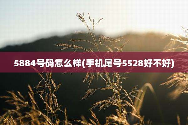 5884号码怎么样(手机尾号5528好不好)