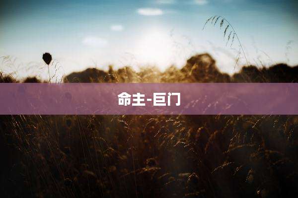 命主-巨门
