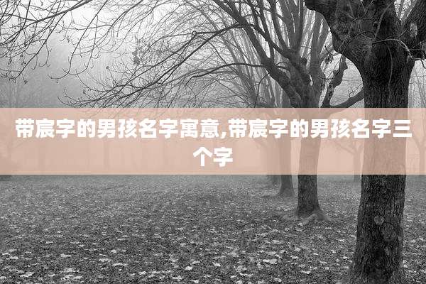 带宸字的男孩名字寓意,带宸字的男孩名字三个字