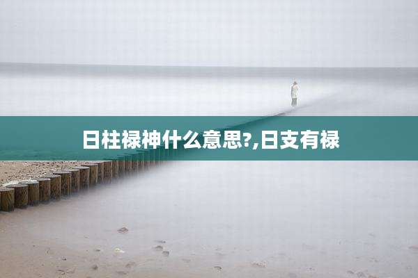 日柱禄神什么意思?,日支有禄