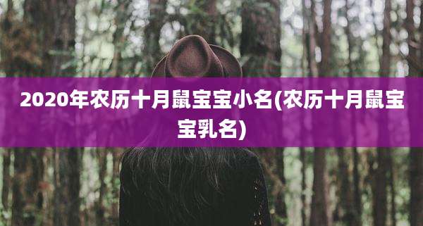 2020年农历十月鼠宝宝小名(农历十月鼠宝宝乳名)