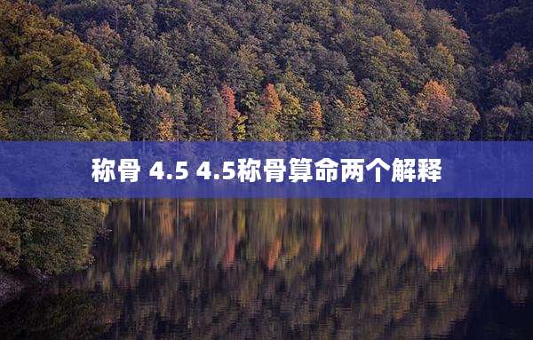 称骨 4.5 4.5称骨算命两个解释