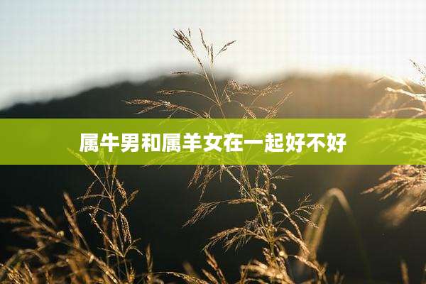 属牛男和属羊女在一起好不好