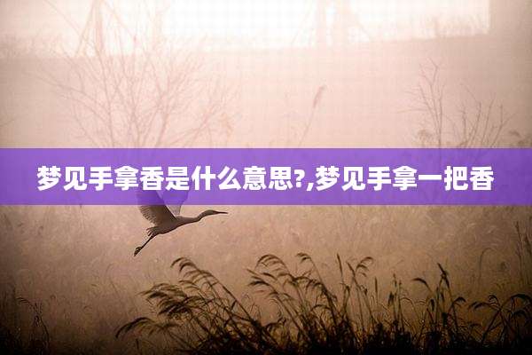 梦见手拿香是什么意思?,梦见手拿一把香