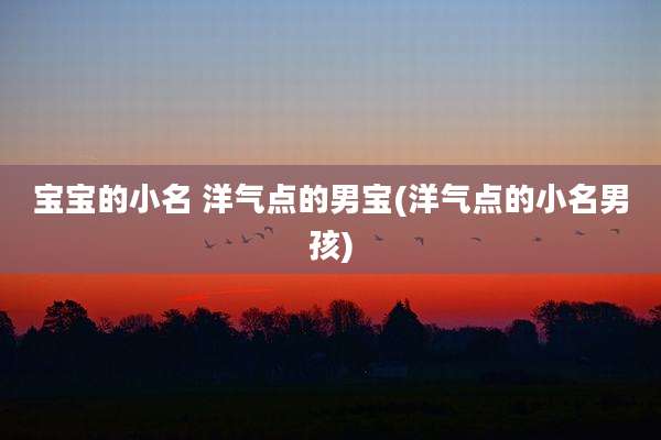 宝宝的小名 洋气点的男宝(洋气点的小名男孩)