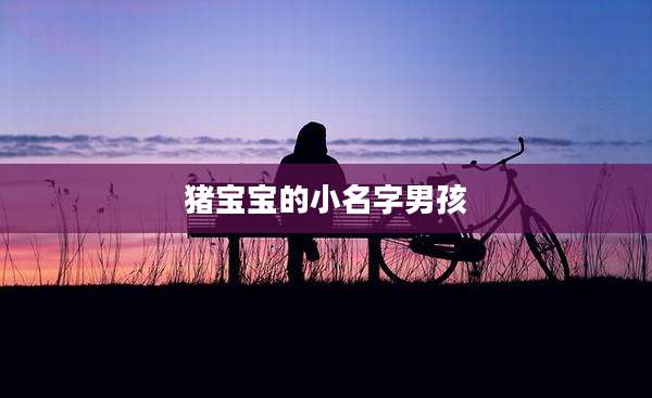 猪宝宝的小名字男孩