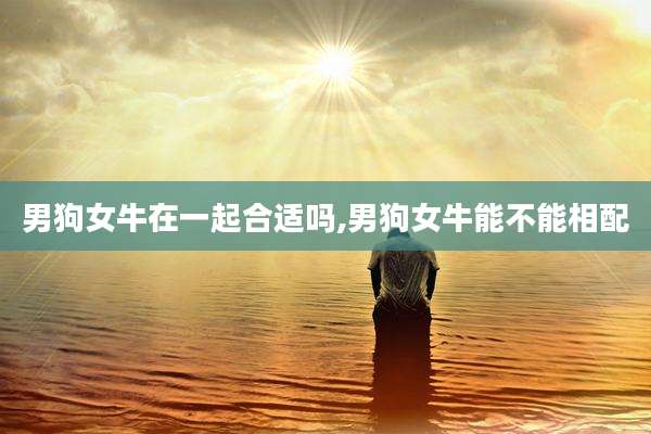 男狗女牛在一起合适吗,男狗女牛能不能相配