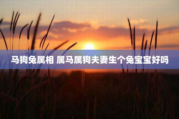 马狗兔属相 属马属狗夫妻生个兔宝宝好吗