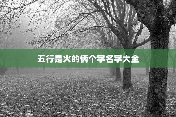 五行是火的俩个字名字大全