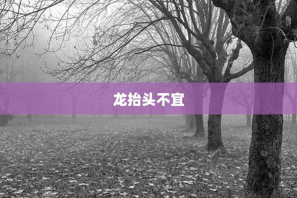 龙抬头不宜