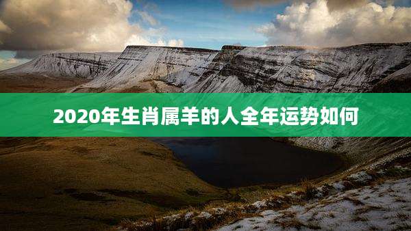 2020年生肖属羊的人全年运势如何