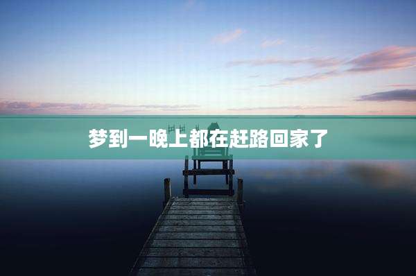 梦到一晚上都在赶路回家了