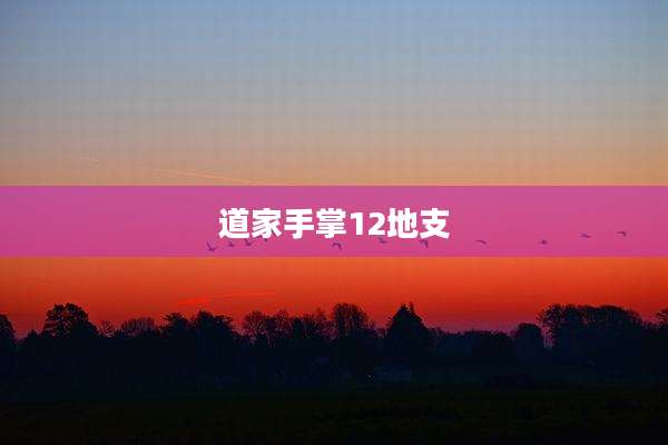 道家手掌12地支