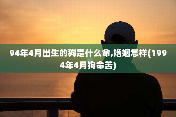 94年4月出生的狗是什么命,婚姻怎样(1994年4月狗命苦)