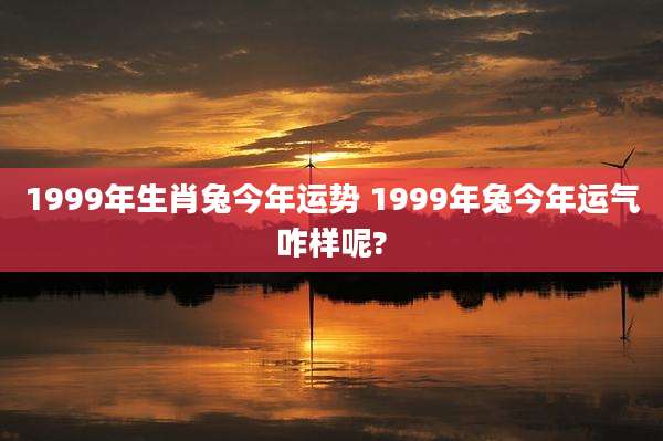 1999年生肖兔今年运势 1999年兔今年运气咋样呢?